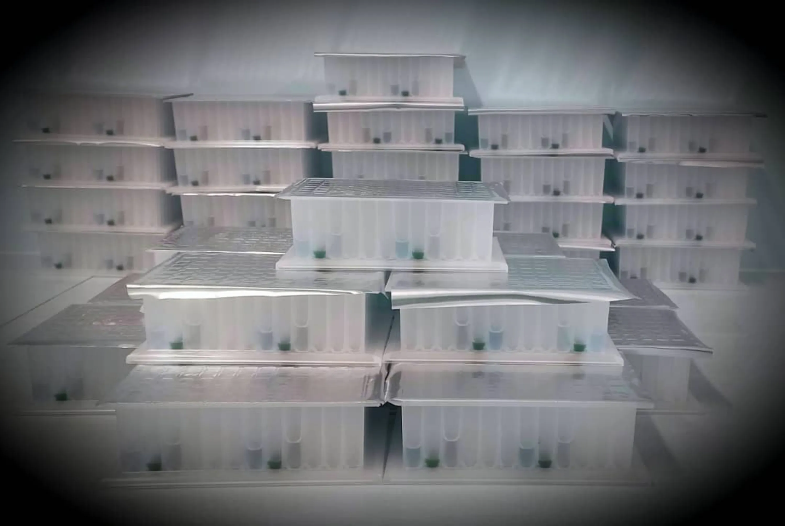 RNA virus magnetic bead for Zybio extraction device